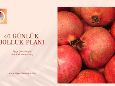 40 GÜNLÜK BOLLUK PLANI